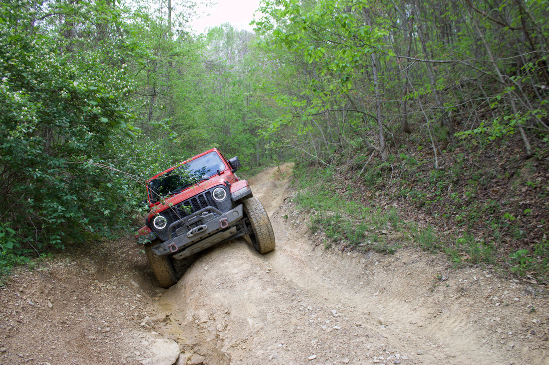 Red Jeep climbing an uneven dirt trail through green woodland