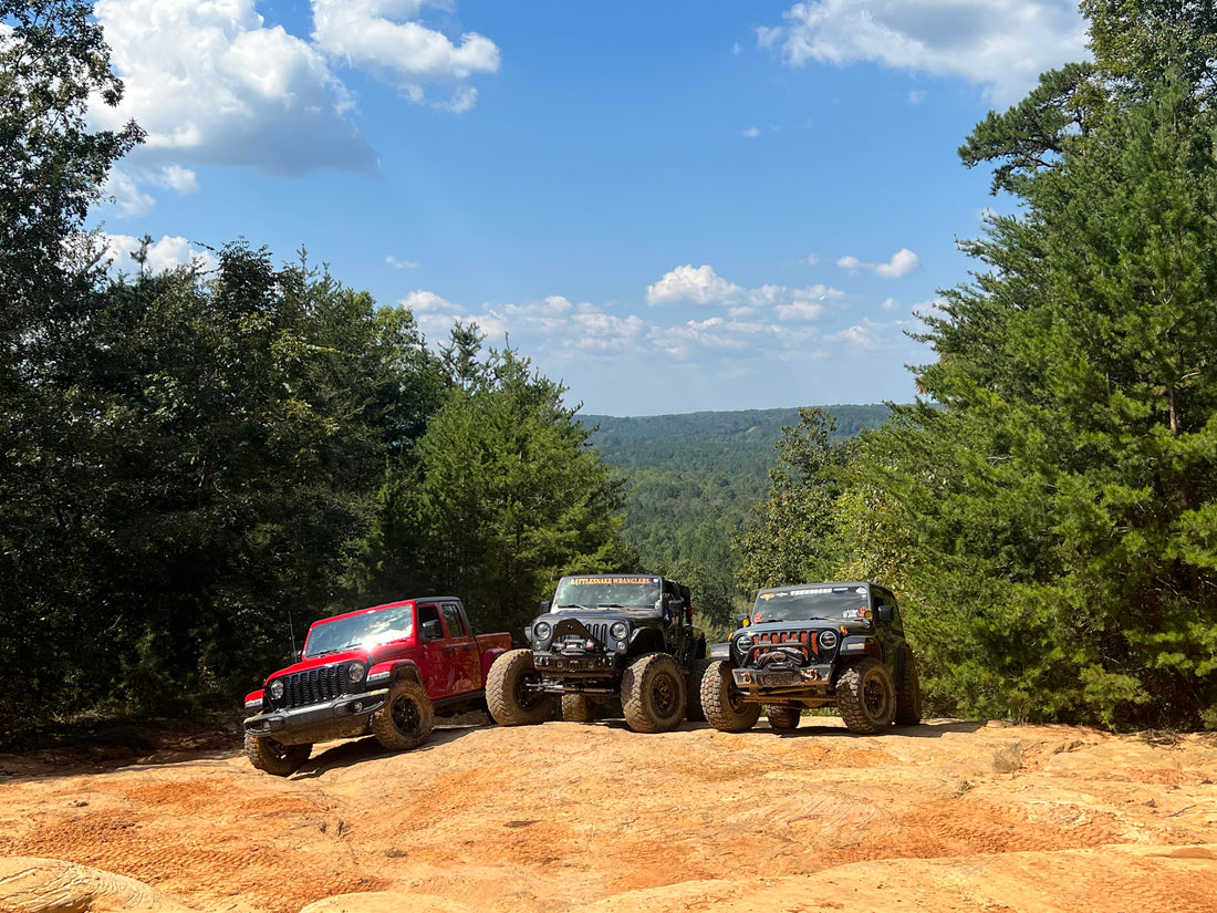 Three off-road Jeeps parked together at a wooded overlook