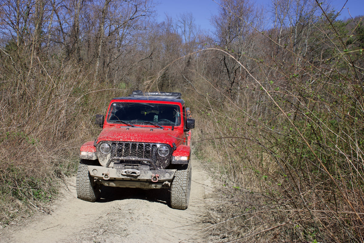Red trail-built Jeep approaching along a wooded trail