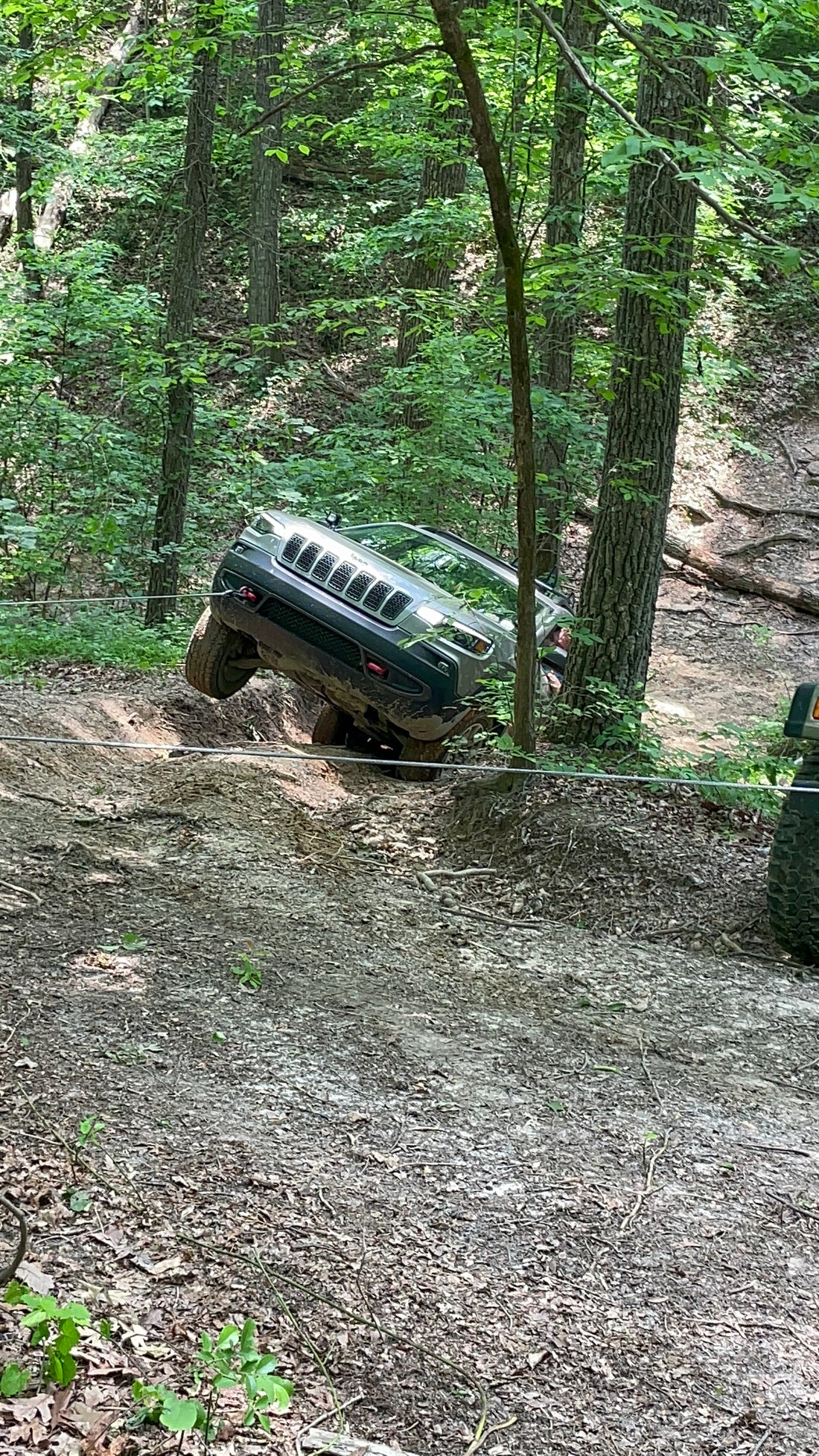 Green trail rig navigating through woodland
