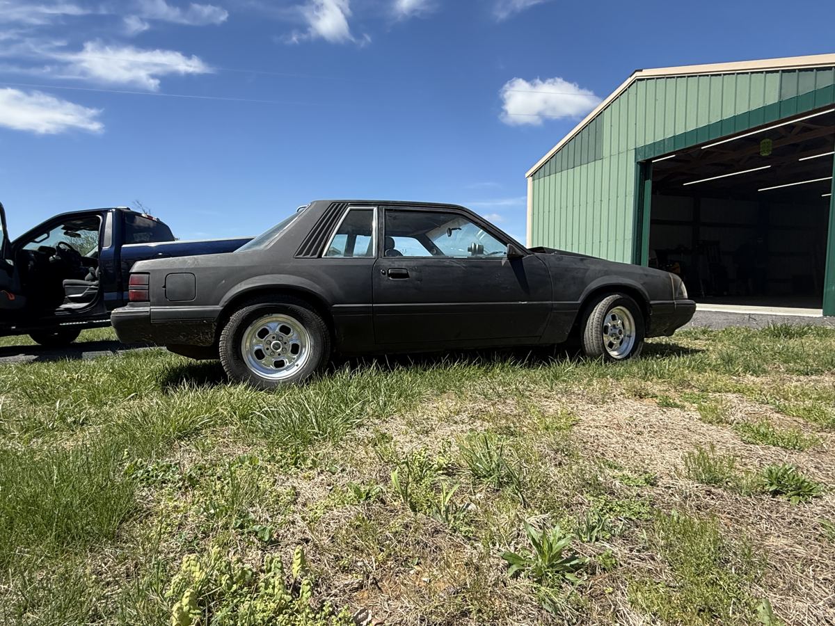 Kayleigh Whittle’s 1986 notchback Foxbody Mustang
